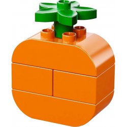 LEGO Duplo 10566 Kolorowy piknik