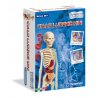 Naukowa Zabawa Ciało Ludzkie Mini 50515