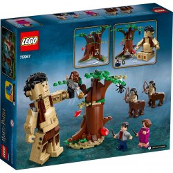 LEGO 75967 Zakazany Las: spotkanie Umbridge