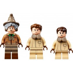LEGO 76384 Chwile z Hogwartu™: zajęcia z zielarstwa